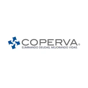 Valkipro SAPI de CV Logo
